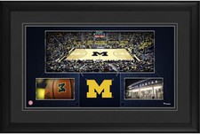 Michigan Wolverines Framed 10x18 Crisler Center Panoramic Collage