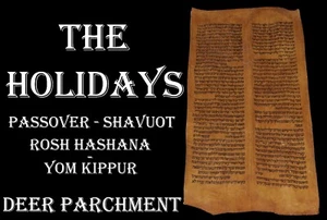 TORAH BIBLE VELLUM MANUSCRIPT FRAGMENT 350 YRS OLD MOROCCO Numbers 27:19 - 29:12 - Picture 1 of 13