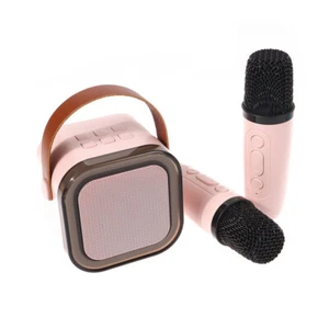 Karaoke Speaker With 2 Wireless Microphones For Adults/Kids Bluetooth Speake _tm - Zdjęcie 1 z 15
