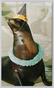 Clowning Sea Lions Party Hat Sea World San Diego California CA Postcard - Picture 1 of 2