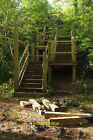 Photo 6x4 Wooden staircase, Orestone Plantation Torquay A reverse view of c2021