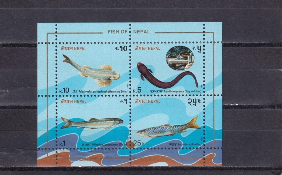 SA04 Nepal 1993 Fish of Nepal block - Image 1 of 1