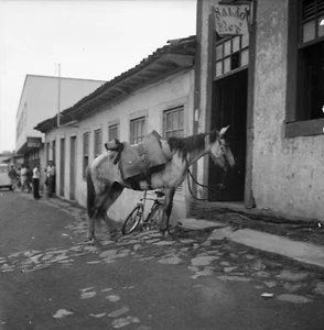 PARACATU MG c. 1960 - Mule devant Restaurant Brésil - Négatif 6x6 - BRA 6 - Imagen 1 de 1