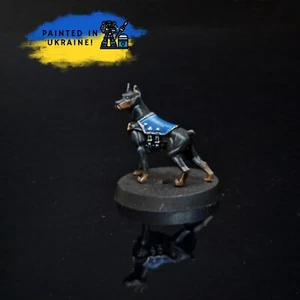 Canid - Picture 1 of 1