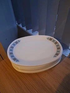 JaJ Pyrex - Chelsea 11 platos de cena ovalados de carne 30,5 x 23 cm - retro vintage - Imagen 1 de 4