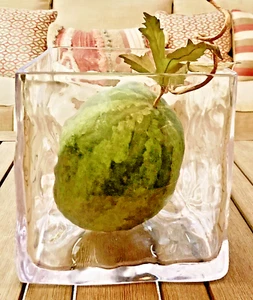 LUCITE ICE BUCKET, COOLER, PARTY SERVER; “CUBE” SHAPE; 1/4” THICK; 9.75x9.75x8.5 - Picture 1 of 9