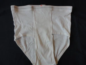 1 Vintage Hanes Brief Double Stripe White UNDERWEAR Men's Large 40 - Picture 1 of 3