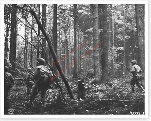 WWII American 28th Infantry Div Soldiers In Hurtgen Forest Silver Halide Photo - Picture 1 of 1