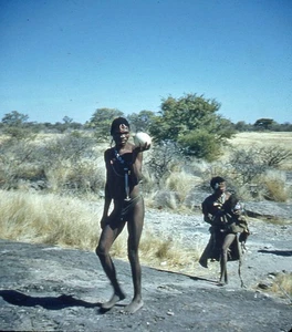 Foto realista stereo vintage diapositiva 3D AFRICA Kung Boscimani con uovo di struzzo - Foto 1 di 2