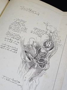 1830 LEONARDO DA VINCI Tabula Anatomica Leonardi Da Vinci LArge 4to with Plate - Imagen 1 de 11