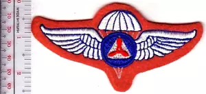 Gorra de la Patrulla Aérea Civil de los Estados Unidos Michigan Ala de Paracaidista Aerotransportado Parche Ganchos de Vel - Imagen 1 de 1