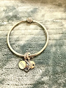 Limited Edition Pandora Sterling "You Melt My Heart" Bangle And Two Charms - Picture 1 of 7