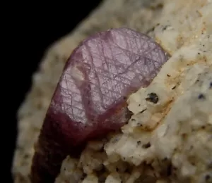 CORUNDUM var. RUBY crystal on matrix - MADAGASCAR Ihorombe - Ihosy Distr /pl074 - Picture 1 of 15