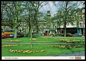 Montpelier Harrogate North Yorkshire E.T.W. Dennis Postkarte - Bild 1 von 2