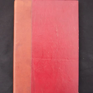 VOYAGE D'HIVER - PIANO ET CHANT SCHUBERT 1922 BELLE COUVERTURE COSTALLAT - Foto 1 di 2