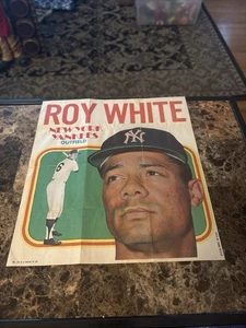 Póster de béisbol 1970 Topps #17 Don Mincher - Seattle Pilots - raro equipo vintage - Imagen 1 de 6