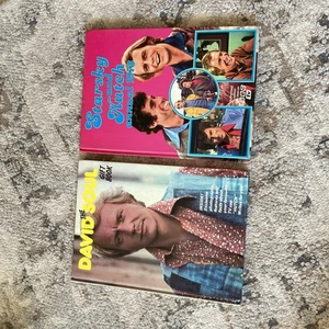 vintage "Starsky and Hutch Annual 1978"  & The David Soul Gift Book - Picture 1 of 7