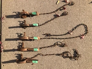 Lot of 5 Vintage some Victor 3" Wide Jaws Animal Steel Trap Traps Combo 1 - Picture 1 of 4