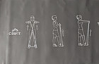 CRIVIT Body Band 5 m Fitnessband Theraband Resistance Band