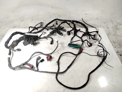 Chicote de fios principal Honda Sabre VT1300 CS 2010 - Imagem 1 de 4
