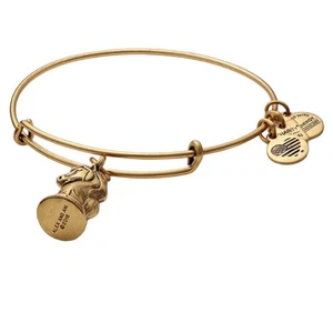 Alex & Ani The KNIGHT Chess Game Piece adjustable bracelet NWT Gold tone - Picture 1 of 9