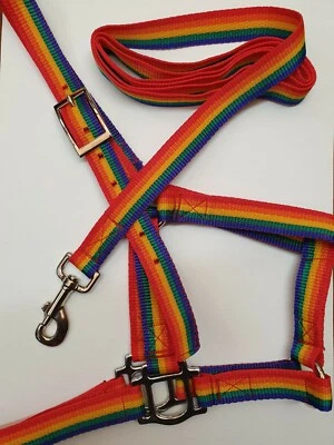 Rainbow Pattern Polypropylene Webbing Headcollar & Lead Donkey Size - Image 1 of 4