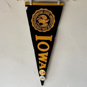 Vintage U of Iowa Hawkeye Collegiate Wimpel schwarz gelb 29" + 1981 & 1982 Pins - Bild 1 von 4