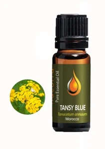 Tansy Blue (Tanacetum Annum) 100% Pure Essential Oil 1ml sample 5ml 10ml - Picture 1 of 3