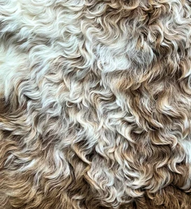 Sheep Dreams ® Echtes spanisches Lammfell, ungefärbtes Fell, pflanzlich gegerbt - Bild 1 von 20