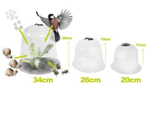YERD Pflanzglocke MEGA SETS Schutzhaube Mini Gewächshaus Anzucht Frost Garten - Bild 1 von 48