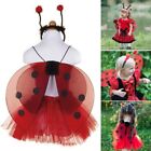 Scarf Shawl Performance Props Costume Fairy Wings Party Costume Ladybug Wings