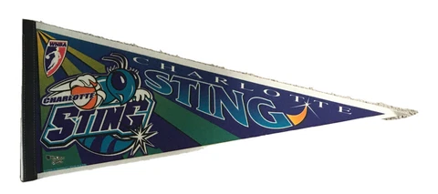 Vintage WNBA Charlotte Sting Vintage Style #2 Logo Basketball Full Size Pennant Cover