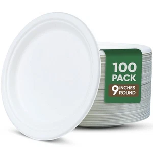 9 Inch Paper Plates 100 Pack - 100% Compostable Dinnerware | Leak & Grease Re... - Picture 1 of 8