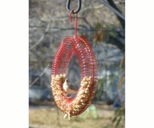 Songbird Essentials RED WHOLE PEANUT WREATH RING BIRD & SQUIRREL FEEDER #d gttt