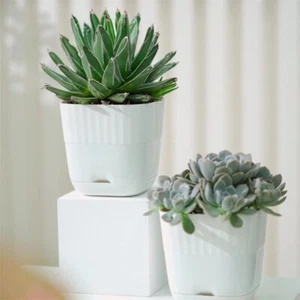 Mini Square Green Plant Plant Flower Pot Colorful Plastic Home Office Decor - Picture 1 of 10