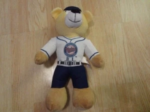 Minnesota Twins 13" Teddy Bear Plush Toy - Imagen 1 de 2