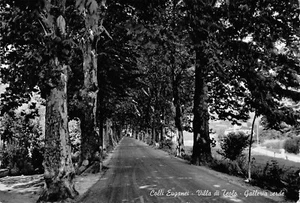 A7265) COLLI EUGANEI VILLA DI TEOLO GALLERIA VERDE PADOVA  - Picture 1 of 2