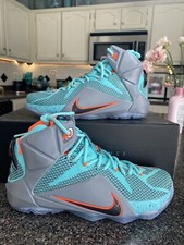 lebron 12 miami