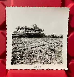 People Working On A Farm In Georgia 3.5 x 3.5 Photograph Vintage 1961 - Picture 1 of 4
