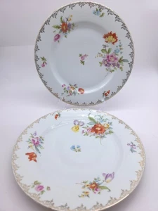 Vintage Set of 2 Fraureuth Saxony Floral Plates - Picture 1 of 9