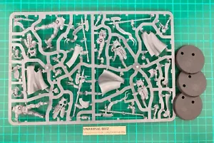 Praetors Praetor Stormcast Eternals on sprue Warhammer Sigmar NUOVO senza scatola H1 - Foto 1 di 1