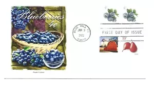 5652 4c Panda Cachets pan pan panda FDC - Imagen 1 de 1