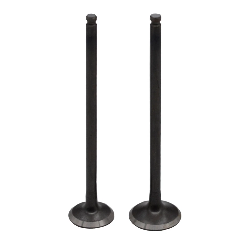 Válvula de escape de admisión para Kawasaki KLX300 KLX250 BR250 Z250SL BX250 NINJA 250SL Foto 1 de 1