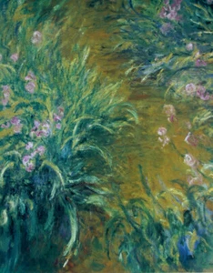 Claude Monet•Iris c.1900•24x32 Cartel artístico - Imagen 1 de 2