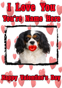 Cavalier King Charles Spaniel tv63 valentines Day Card A5 Personalised Greetings