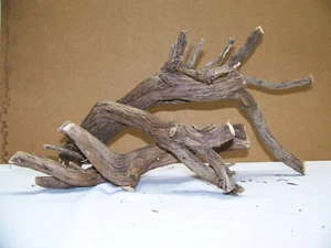 Dried Rosemary Branches for Snake, Insect, Reptile, Terrarium (Set of 2) Nice! - Picture 1 of 7