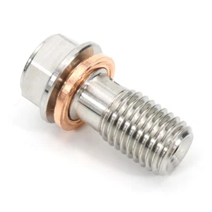 Single Bolts Stainless Steel M10X1.25mm Brake Bolts Screws Fit For Motorcycle - Imagen 1 de 7