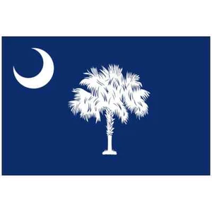 Großhandel Menge 9 South Carolina Flagge 3x5 Fuß Outdoor Indoor robust Polyester - Bild 1 von 1