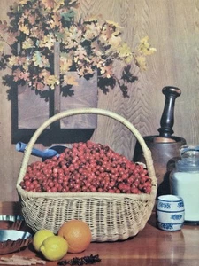 Cesta de arándanos cosecha otoño pastel ingredientes para hornear revista impresión artística 1959 - Imagen 1 de 4