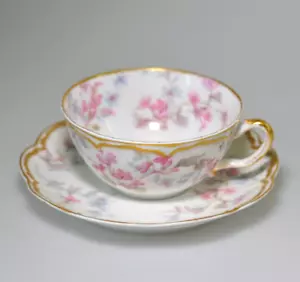 Juego de té Haviland Limoges Schleiger 32F taza platillo azul rosa doble dorado SR5 - Imagen 1 de 21